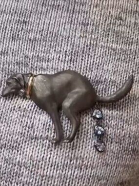 THEYR'E BACCCCCKKKK!  Dog Pooping Rhinestones Brooch